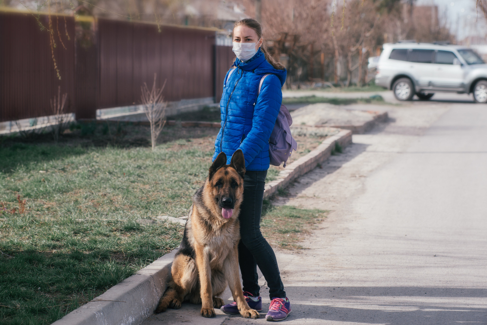 Antrenarea câinilor de pază și protecție în siguranță